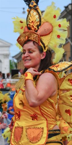 DSC_5626.jpg