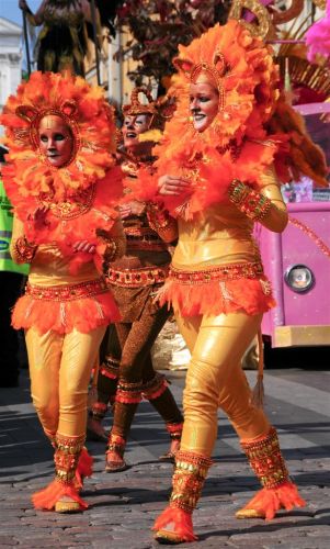 DSC_6414.jpg