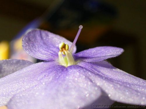 DSCN0215.jpg