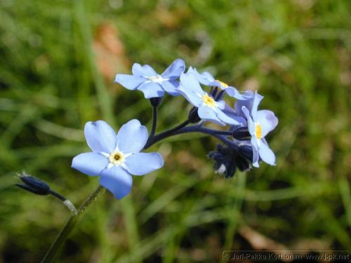 DSCN2536.jpg