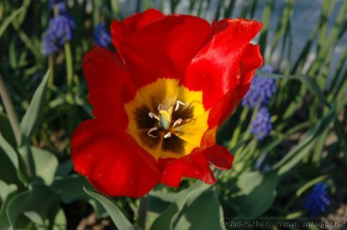 Dsc_0183.jpg